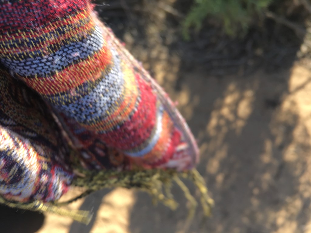 I saw my&nbsp;Ex-Husband