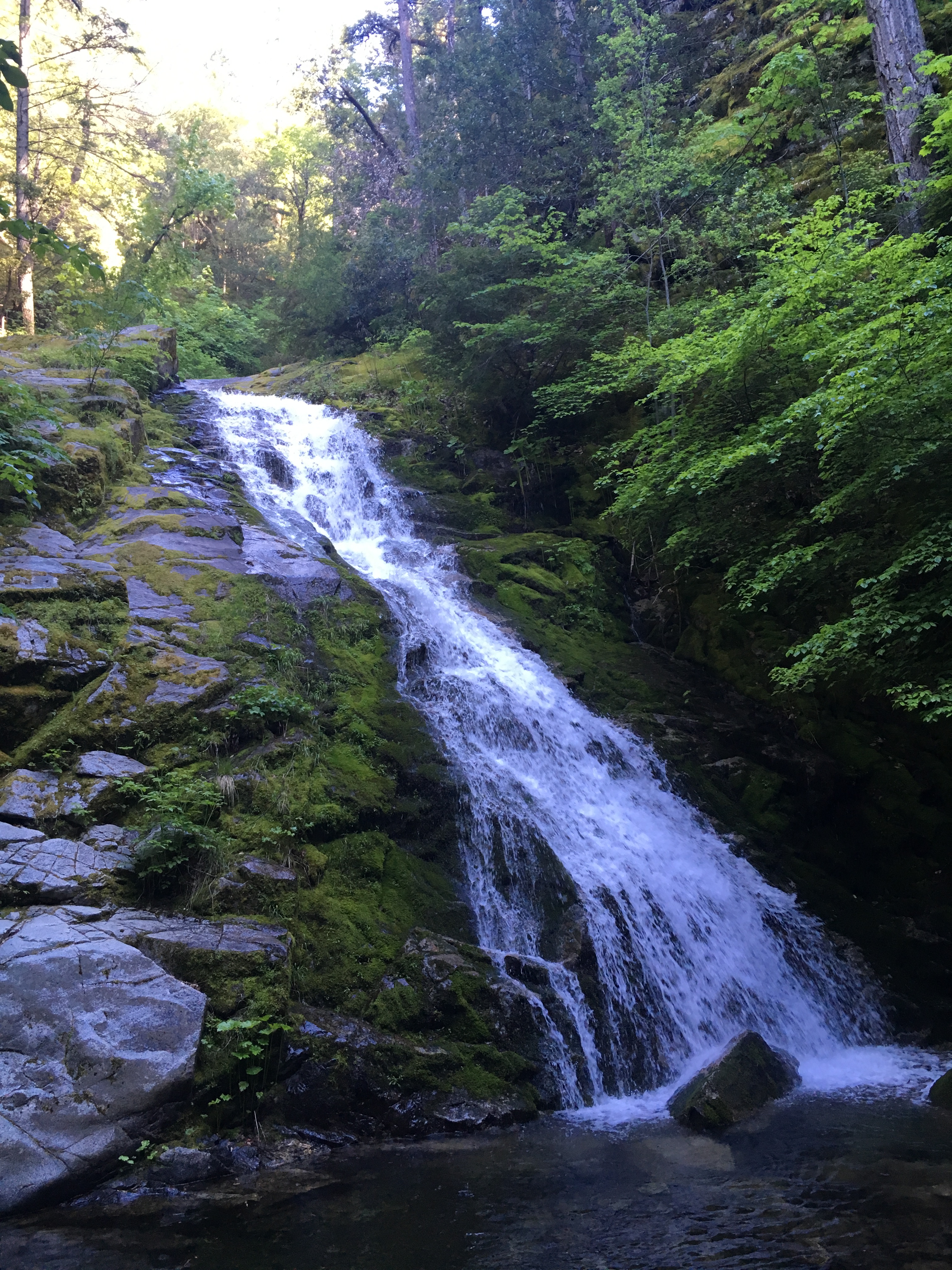 redding california.JPG